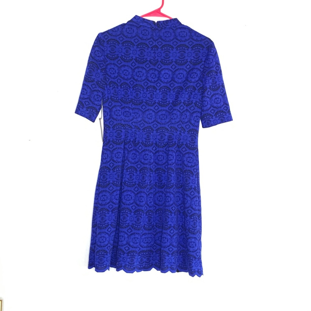 NWT cobalt lace Vince Camuto dress